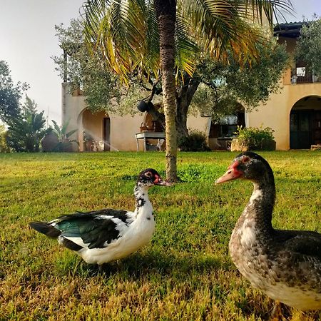 La Finestra Sul Limone Bed & Breakfast Castelvetrano Dış mekan fotoğraf