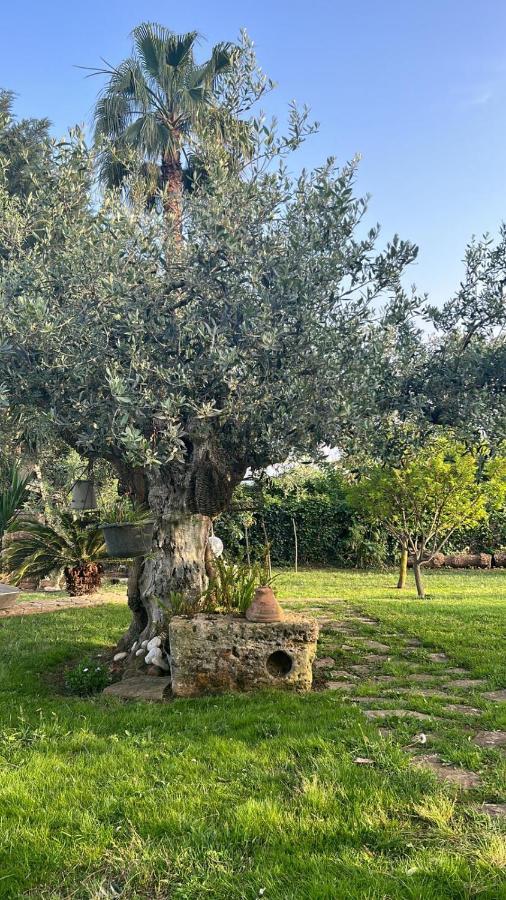 La Finestra Sul Limone Bed & Breakfast Castelvetrano Dış mekan fotoğraf