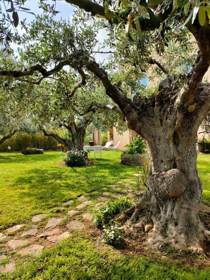 La Finestra Sul Limone Bed & Breakfast Castelvetrano Dış mekan fotoğraf