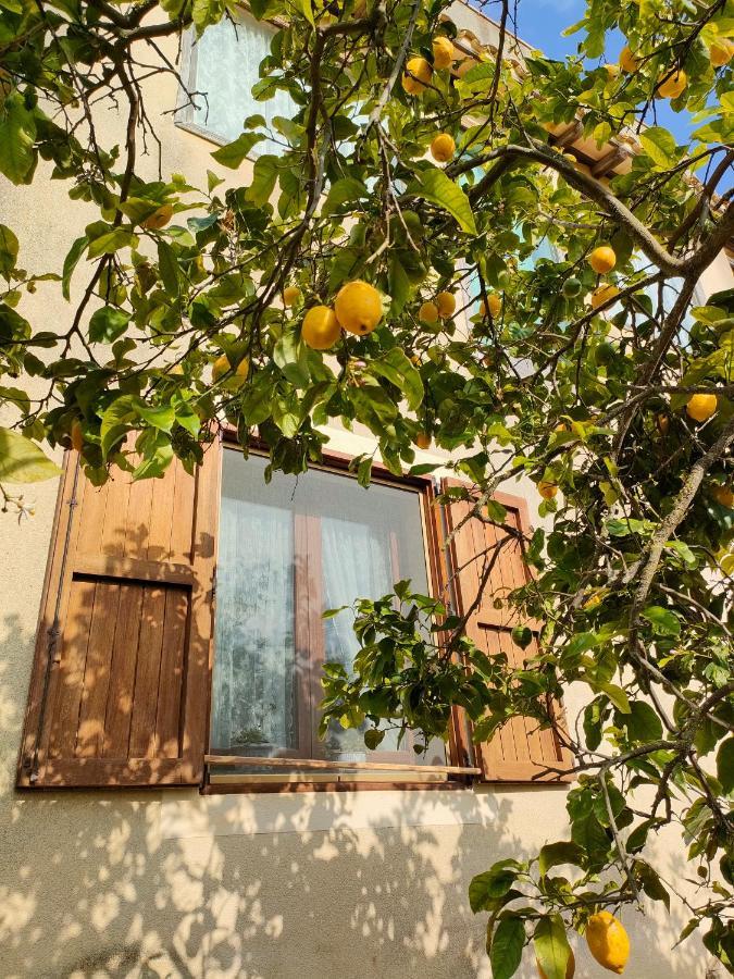 La Finestra Sul Limone Bed & Breakfast Castelvetrano Dış mekan fotoğraf