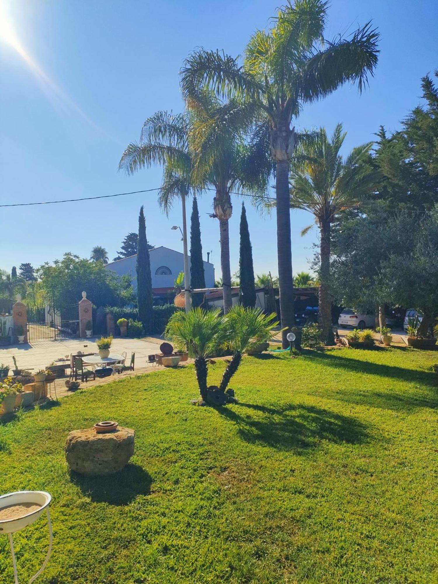 La Finestra Sul Limone Bed & Breakfast Castelvetrano Dış mekan fotoğraf